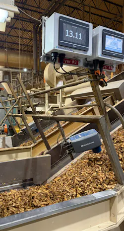 Tobacco leaf on conveyor Tobacco leaf on conveyor