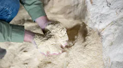 Worker inspecting powder Worker inspecting powder