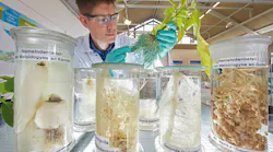 Bayer researcher Bayer researcher
