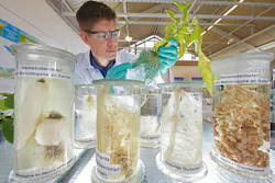 Bayer researcher Bayer researcher