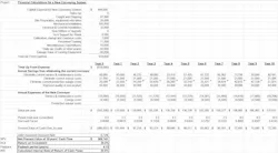 Financial spreadsheet for a bulk solids project