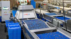 The WECO 360Tek optical sorter at H&A Farms.