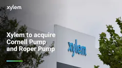 Xylem building