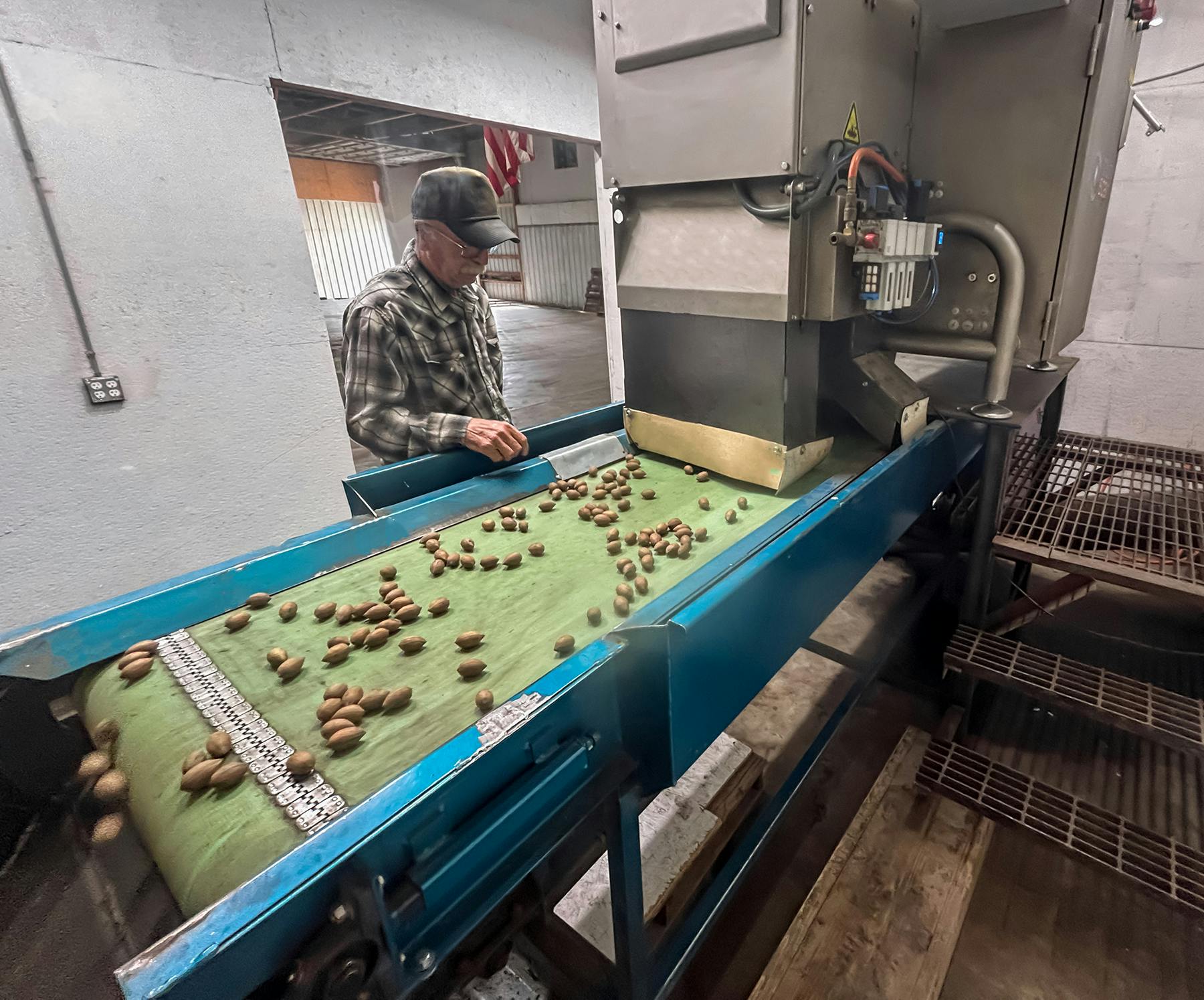 Payne's Pecans relies on WECO&rsquo;s Multiscan MXV-Bulk X-ray system to identify hidden defects and dense foreign material.