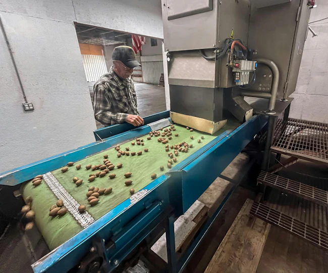 Payne's Pecans relies on WECO&rsquo;s Multiscan MXV-Bulk X-ray system to identify hidden defects and dense foreign material.