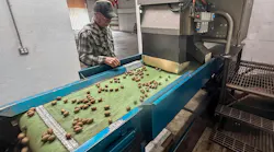 Payne's Pecans relies on WECO’s Multiscan MXV-Bulk X-ray system to identify hidden defects and dense foreign material.